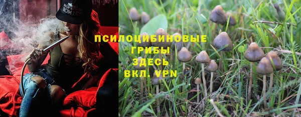 бошки Снежинск