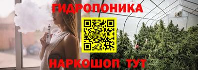 герыч Новодвинск