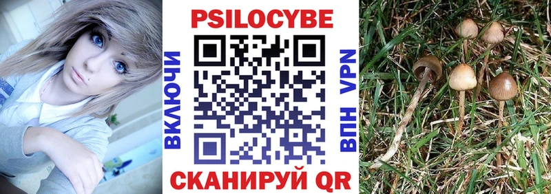 Псилоцибиновые грибы Psilocybe Снежинск